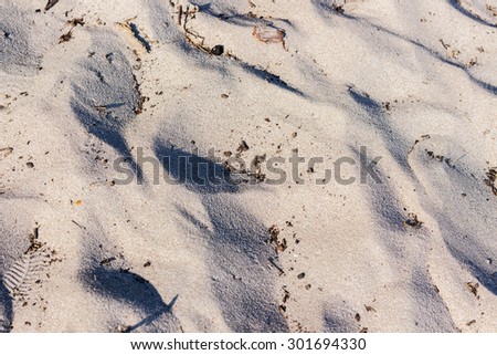Lines in the sand of a beach in the summer