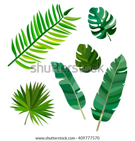 Set Of Green Palm Leaves With Hawaii On White Background. Vector Hawaii ...