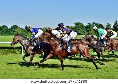 WROCLAW, POLAND - JUNI 8: Horse race for the prize of the President of the City of Wroclaw on Juni 8, 2014. Race wins horse Silvaner with the number 7, son of the legendary horse Lomitas.