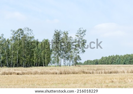 Rural landscape before storm in Central Poland, Europe