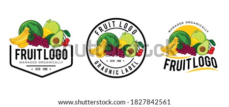 fresh fruit logo template design