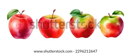 Red apple watercolor isolated on white background. Fresh summer fruit sweet set. Realistic apple vector illustration