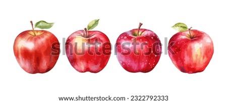 Red apple watercolor isolated on white background. Set of healthy fruit apples vector illustration