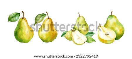Set of pear fruit watercolor isolated on white background. Vector illustration