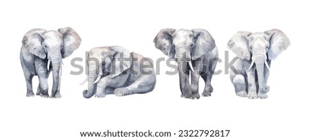 Set of elephant watercolor isolated on white background. Vector illustration