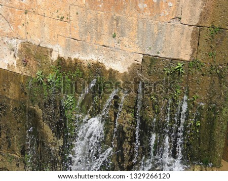 Foto Bild Flusswasser sickert durch die Blätter einer Pflanze