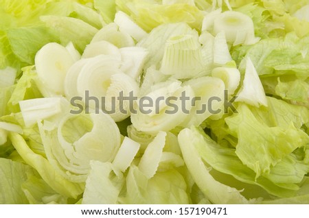 Onion and iceberg salad close up shoot