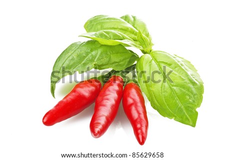 Red chilly pepper and basil