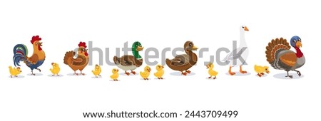 Similar – Image, Stock Photo A duckling is a baby duck. Ducklings usually learn to swim by following their mother to a body of water.Soon after all the ducklings hatch, the mother duck leads them to water.