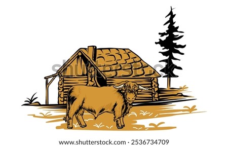 highland cattle with cabin behind it