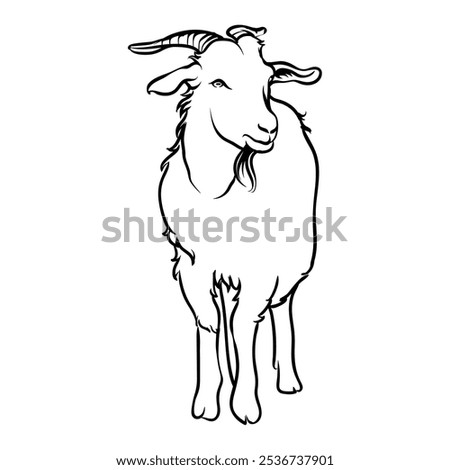 goat with white background separate