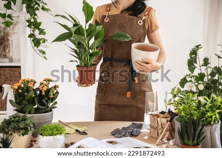 Similar – Image, Stock Photo Faceless female gardener caring about plants in garden