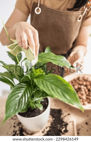 Similar – Image, Stock Photo Faceless female gardener caring about plants in garden