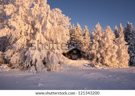 Beautiful winter landscape in Sweden