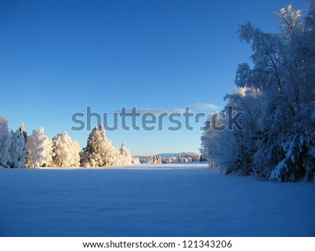 Beautiful winter landscape in Sweden