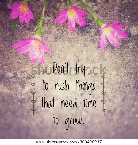 Inspirational quote on blurred wild flowers background with vintage filter