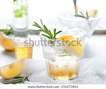 Gin, tonic, lemon, rosemary fizz, cocktail with honey and fresh herbs on a white background.