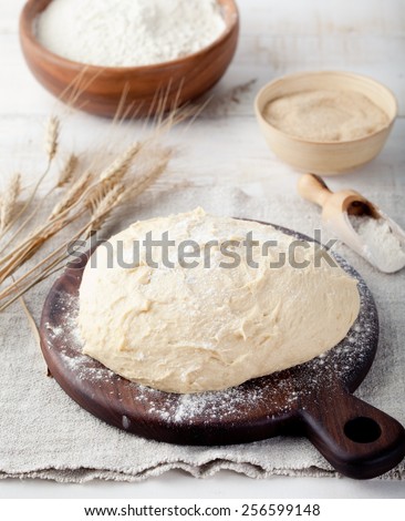 Dough, yeast-fermented dough, pizza,bread, pie dough with flour and wheat spikes on a white wooden background