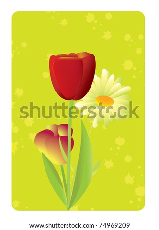 Vector illustration of spring and blooming flowers tulips and daisies.