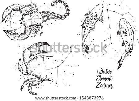 Water Element Zodiac Signs. Cancer Zodiac, Pisces Zodiac, Scorpio Zodiac. Black and White line work.