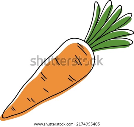 Isolated illustration of a carrot vector. The carrot symbol is vegetarian.