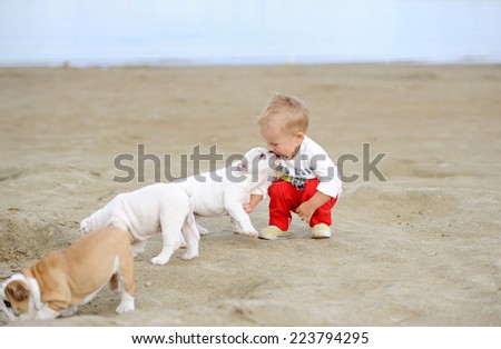 The kid plays with puppies on the bank of the small river on the sands