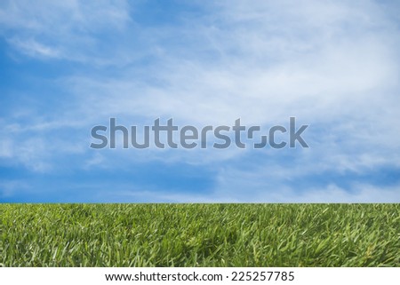 horizon line, green grass field and bright blue sky, abstract image