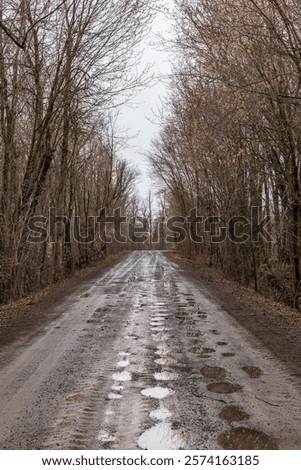 Similar – Image, Stock Photo Leaf reflection on puddle with ice and foliage