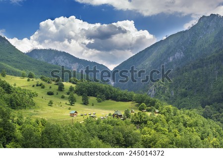 cabin in the mountains summer cloudy sky tree green nature