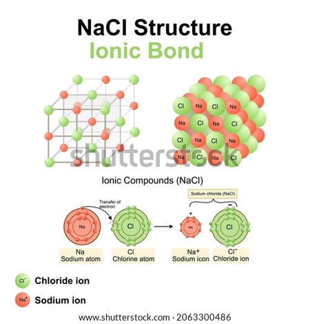 Structure of sodium chloride (salt).NaCl model.Vector illustration.Chemistry model of salt molecule.Ionic compounds,Ionic bond,education and symbols.design for print,model.