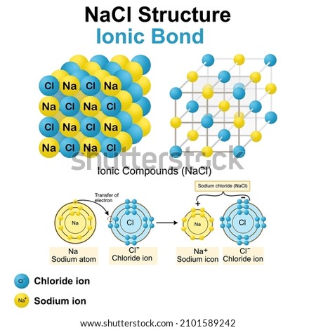 Structure of sodium chloride (salt).NaCl model.Vector illustration.Chemistry model of salt molecule.Ionic compounds,Ionic bond, education and symbols.crystals model.blue and yellow concept.