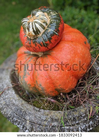 Similar – Image, Stock Photo Concrete, rain, dreariness. If anyone wants to get out