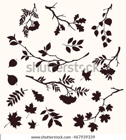 Maple Leaf Silhouette Clipart | Free download on ClipArtMag