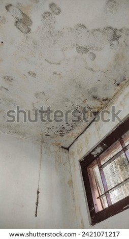 Similar – Image, Stock Photo + Lonely basement apartment