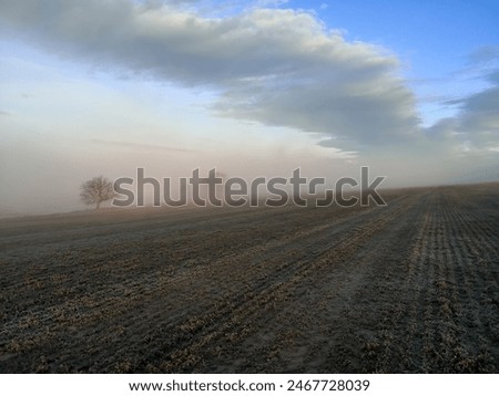 Similar – Image, Stock Photo Foggy morning in the Harz Mountains