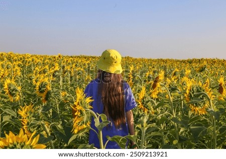 Similar – Image, Stock Photo Little girl standing on farm yard