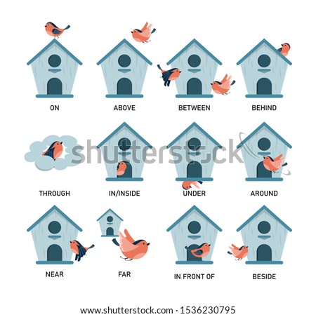 Bird and birdhouse, learning preposition vector isolated. Preschool education, study position of the object. Front side and behind. Bird fly above and around the birdhouse.