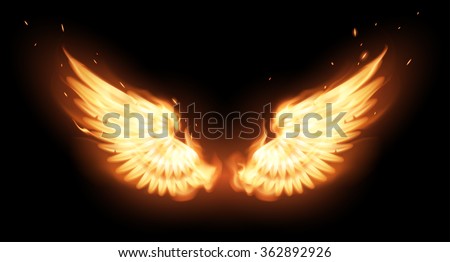 Wings In Flame Stock Vector 362892926 : Shutterstock