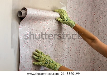 In female hands, a roll of wallpaper on the wall of the room, preparation for gluing and redecorating inside. Imagine de stoc © 