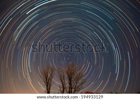 Polaris, star trails and shooting star over the trees