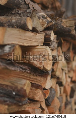 Shutterstock Puzzlepix