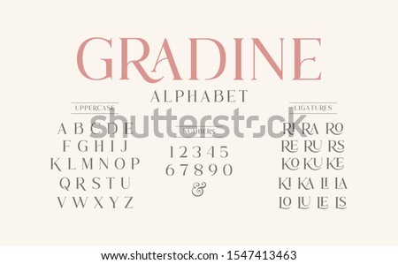 Classic typography elegant. Alphabet and numbering  uppercase. Vector illustration word.