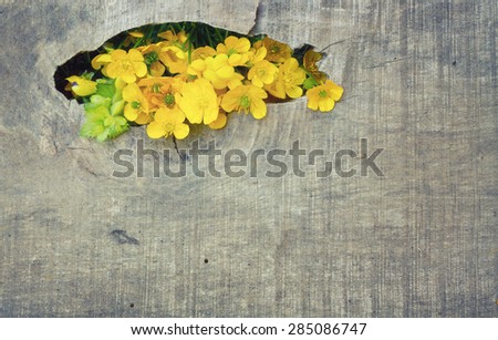 Cross process of yellow flowers on wooden background.