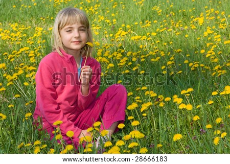 Nice little girl wearing pink clothes sitting in a dandelion meadow.
