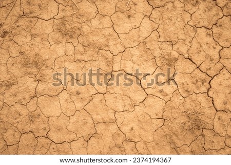 Similar – Image, Stock Photo Cracks on dry ground