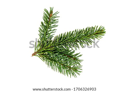 Image, Stock Photo fir cones