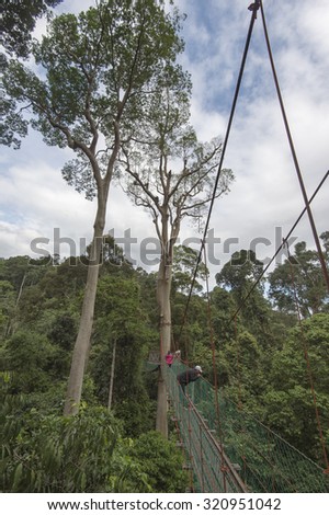 Canopy walkway or hanging wood bridge in primary virgin jungle, Danum Valley Conservation Area, Lahad Datu, Malaysia.