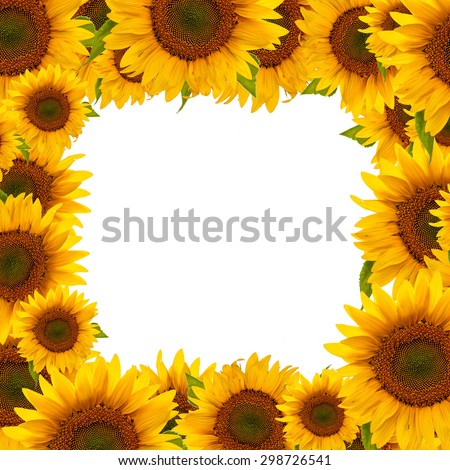 A frame (border) made of sunflower heads