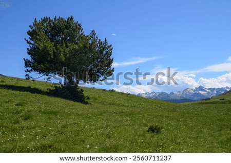 Image, Stock Photo Snowy Pyrenees and lonely house with shiny lights under sky