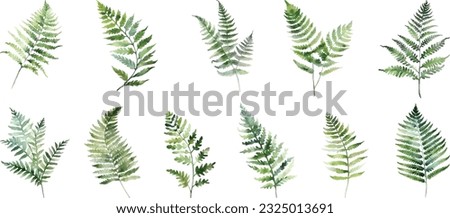 Similar – Image, Stock Photo green fern leaves in springtime